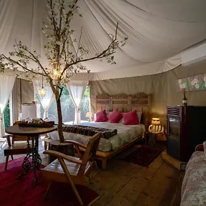 https://glamping-canonici-di-san-marco.hotelinveneto.com