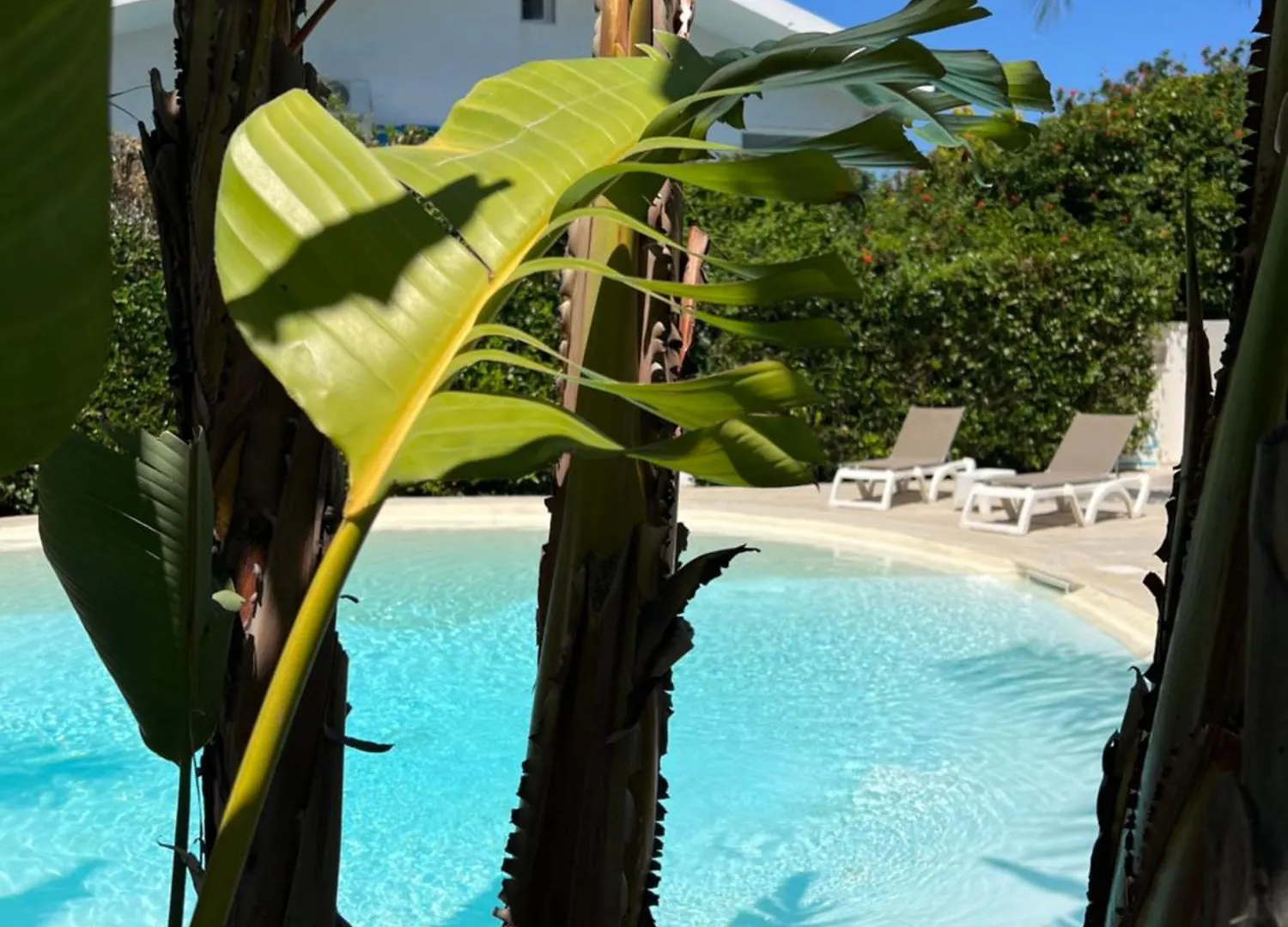 Apartment Villa Lucy Fontane Bianche Italy